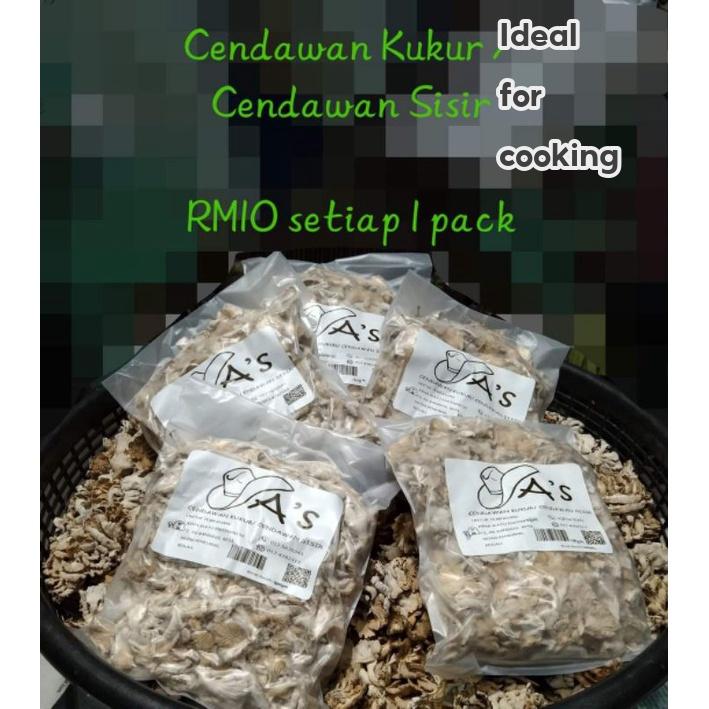 CENDAWAN KUKUR / SISIR (SEGAR & KERING)