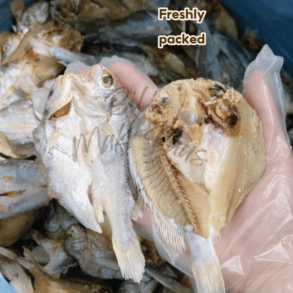 ? Ikan Masin Gelama Belah Ikan Gelama Bekok Ikan Kering Gelama Belah Ikan Gelama Kering Ikan Gelama Belah Kurang Masin