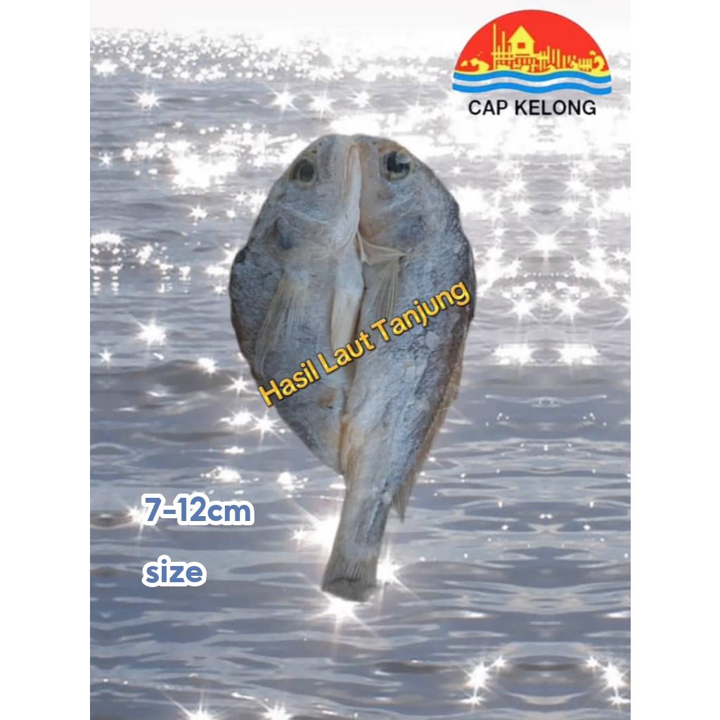 Ikan Masin Gelama Belah 1KG Ikan Kering Gelama Belah Ikan Gelama Bekok Salted Fish