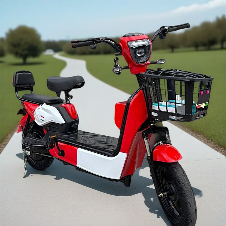 ★LEM★ ELEKTRIK BASIKAL / ELECTRIC BICYCLE MODEL LEM E,LEM 1,LEM MA AND LEM V1