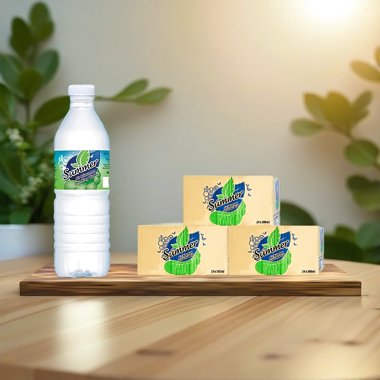 SUMMER Drinking Water (500ml x 24 Bottles x 3 Cartons)
