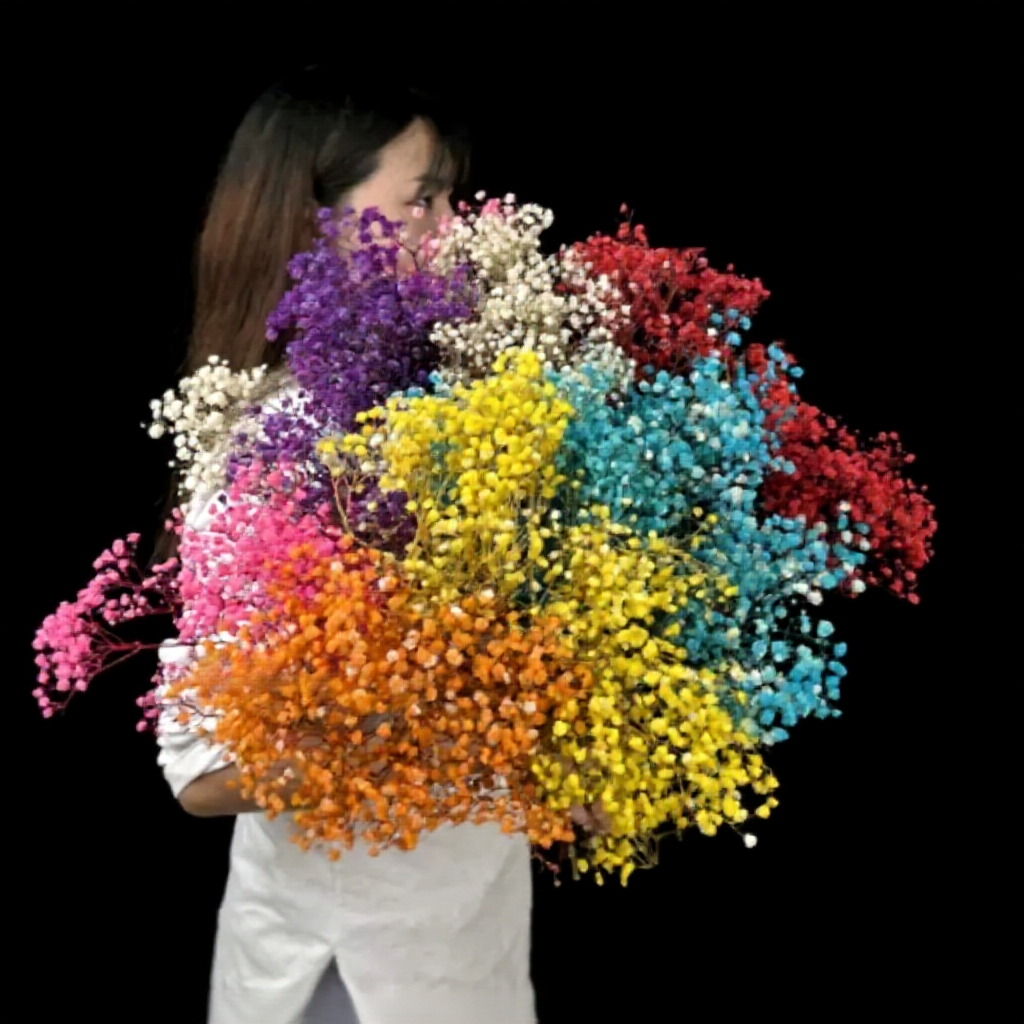  PRESERVED BABY BREATH Gypsophila Dried Dry Bouquet Flower Plant Living Home Decor Decoration Bunga Hiasan Rumah