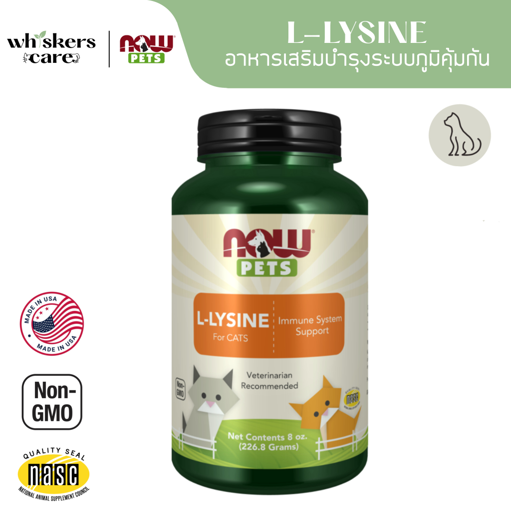 NOW Pets L-Lysine Lysine Supplement For Cats Strengthens Immunity Nourishes The Respiratory System And Eyes Cat Supplements