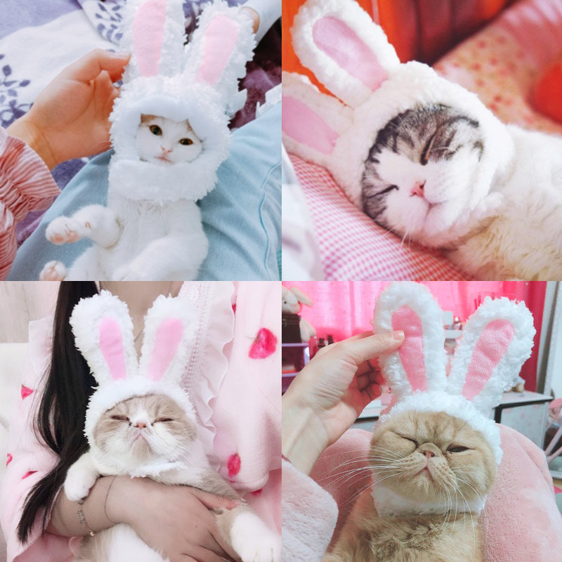 FIVE CATS New Pet Head Cover Decoration Cute Rabbit Ears Hat Dog Cartoon Fairy