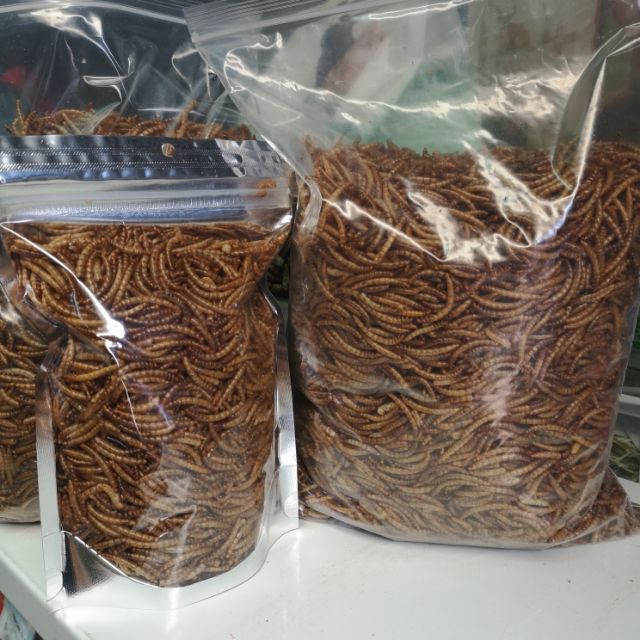 Bird Worms Dried 100g For Hedgehogs Sugar Gliders Beat Dragons Hamster