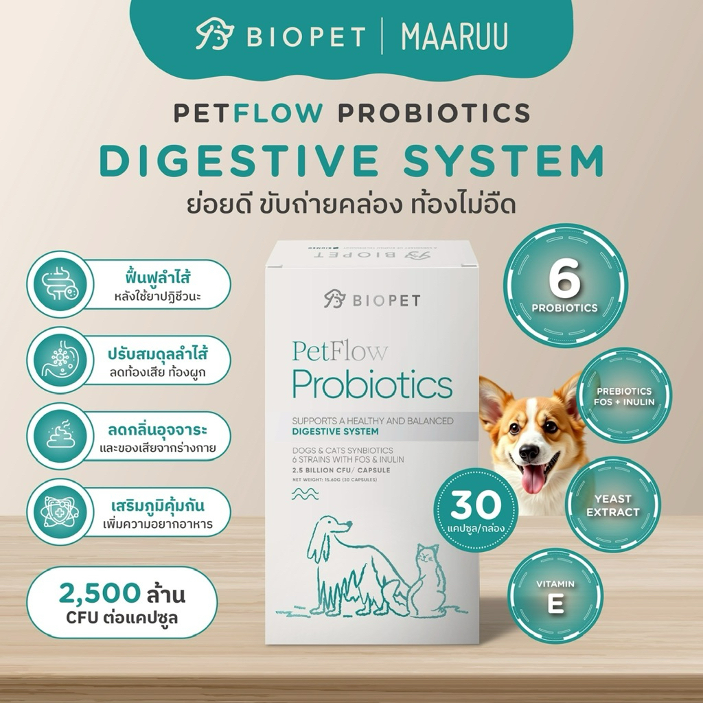 Biopet PetFlow Probiotics Digestive Formula Balances The Intestines Reduces Diarrhea Feces Odor For Pets Dogs Cat