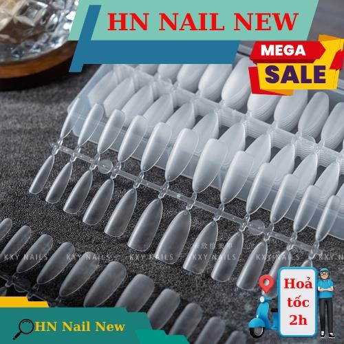 Pre-sanded palm nails in short rice grain form, long rice grain box of 240 Hn Nail New…