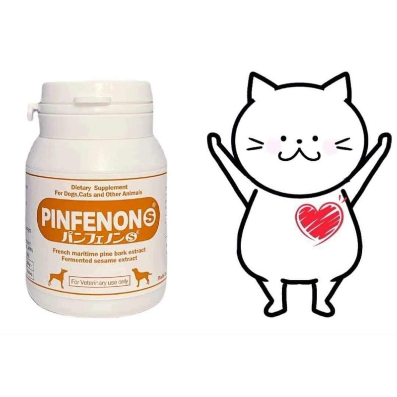 Pinfenon S (bottle of 60 tablets) - supports kidney failure, diabetes, and prevents brain digestion in pets