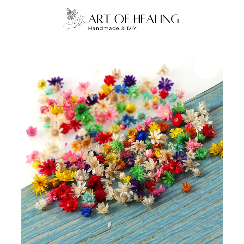 [AOH - Art of Healing] Tropical Snow Chrysanthemum Ixodia Glixia resin Decoration, Candles, Paintings - Handmade & DIY