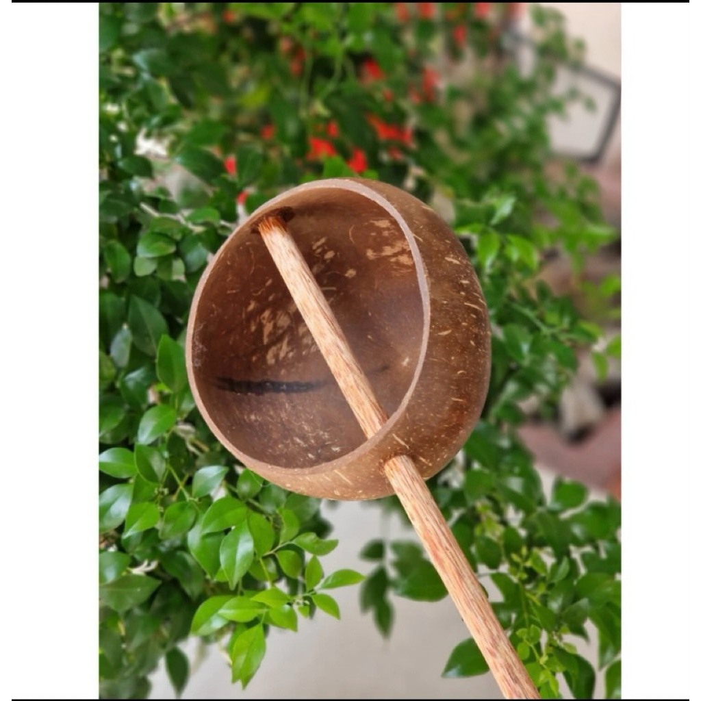 Coconut shells to scoop water - coconut shells to wash hair and nourish hair, coconut shells for photography, cheap coconut shells to bathe Buddha statues