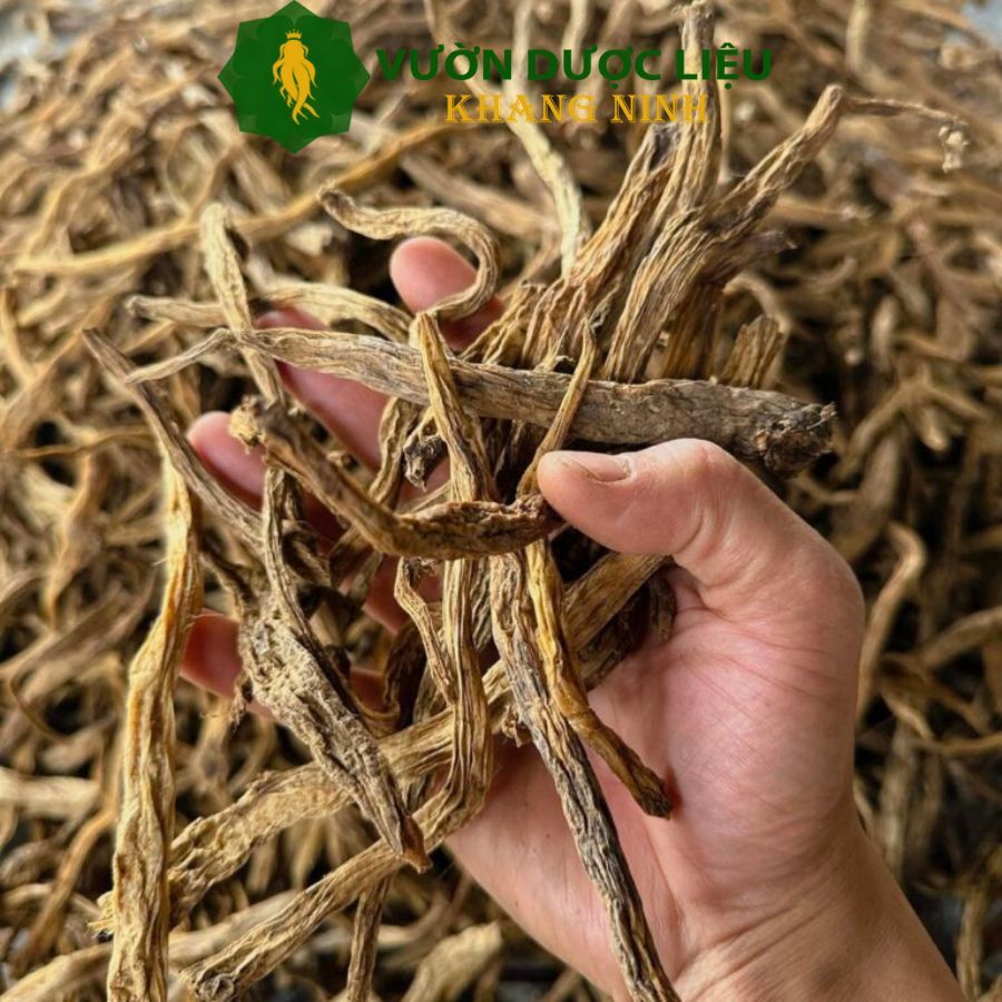 Bach Bo - Thirty Root 500g - 1kg - Grade 1 Quality Guaranteed - Price