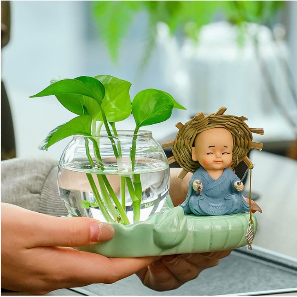 Mini aquatic plant pots with peaceful little monk come in many models and pebbles to bring peace