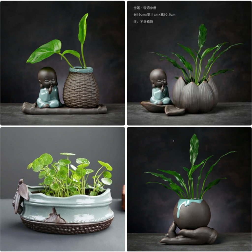 Ceramic aquatic plant pots bring peaceful, relaxing green space and display gifts