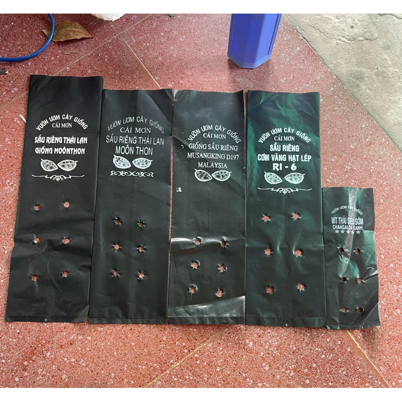 100 bags of nursery pots, black nursery bags with printed words (Ri-6 durian seedlings, Malaysia) upon request