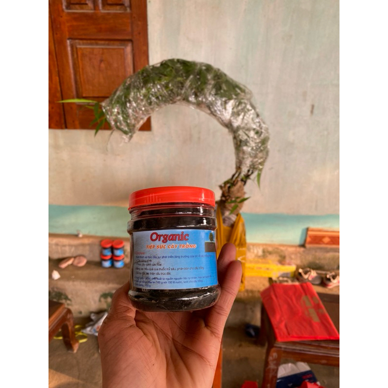 ORGANIC super root stimulator is specialized for bamboo shoots, helps sprout buds, strong roots, produces many silk roots, improves soil..