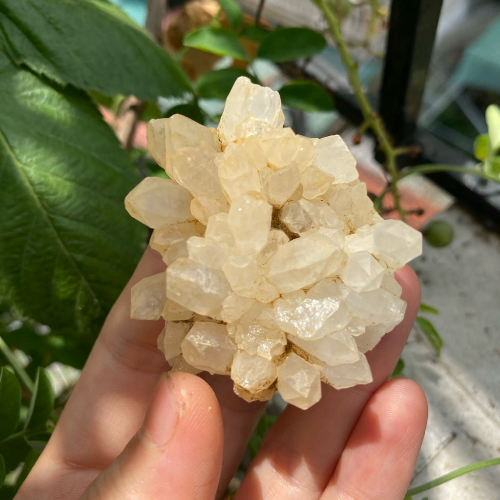 SMALL, MEDIUM yellow/white quartz.. purifies Tarot cards, space, energy... (real stone, natural stone - guaranteed to be beautiful - self-taken by the shop)