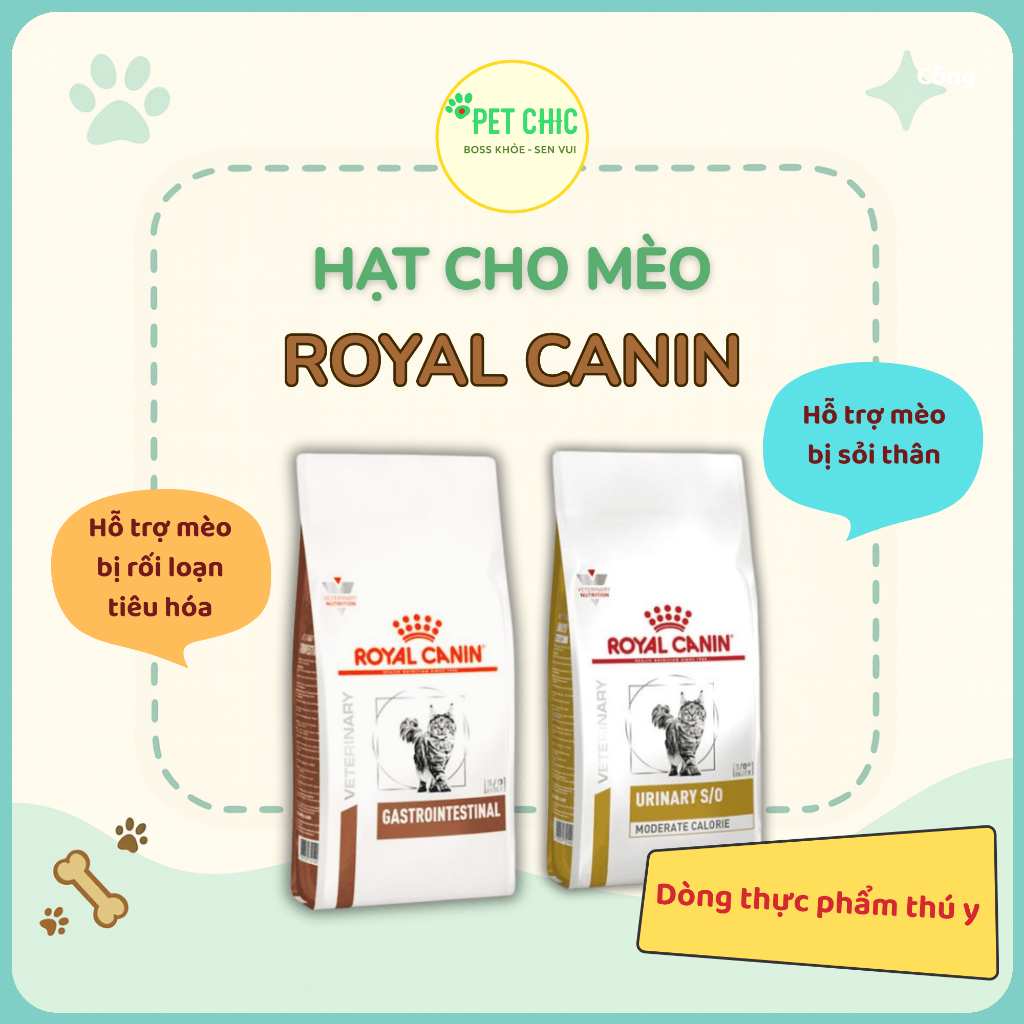 Royal Canin Gastrointestinal Cat Granules & Urinary S/O– Specialized in Digestive and Urinary Support | PET CHIC